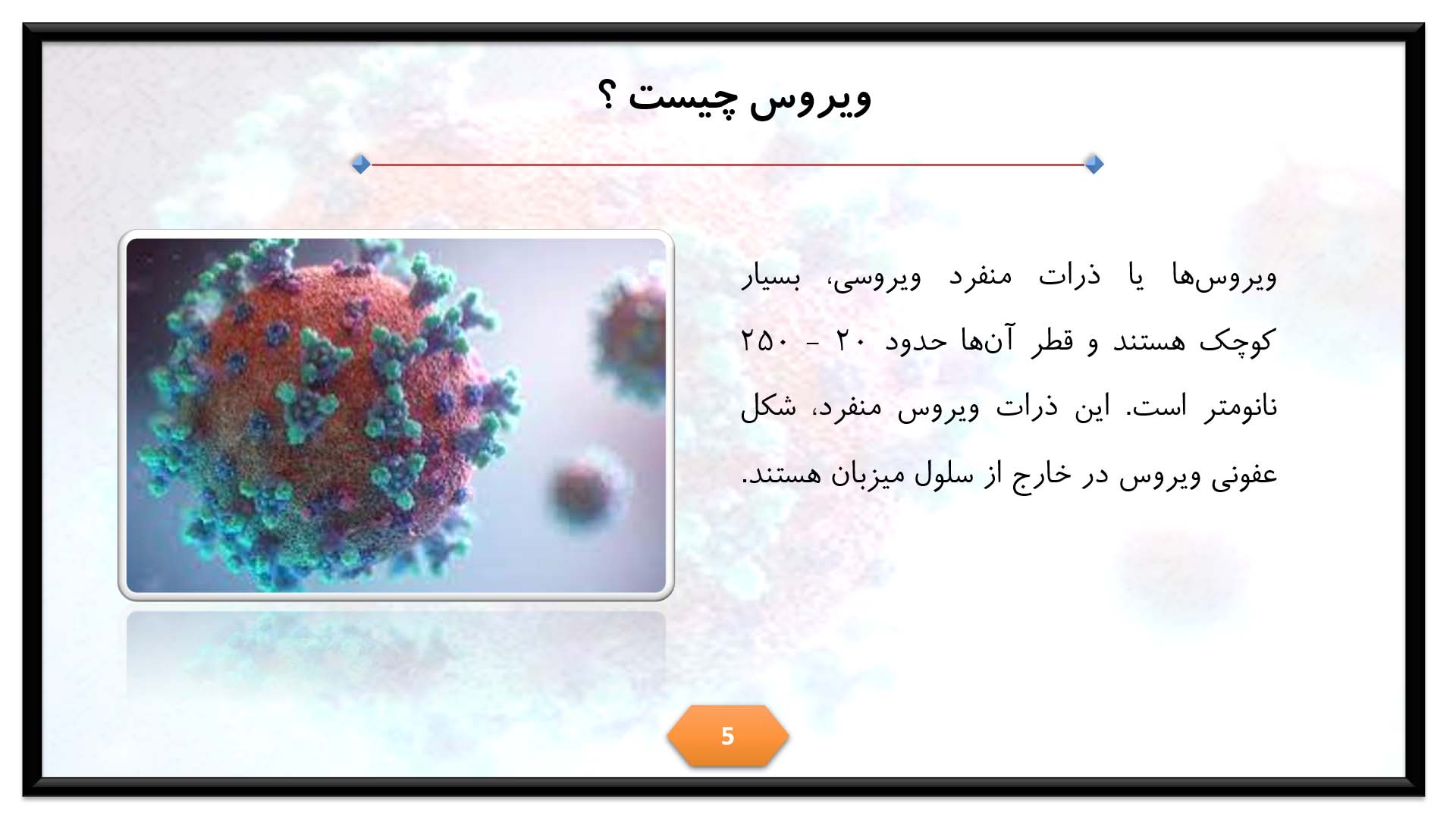 پاورپوینت در مورد طبقه بندی ویروس ها